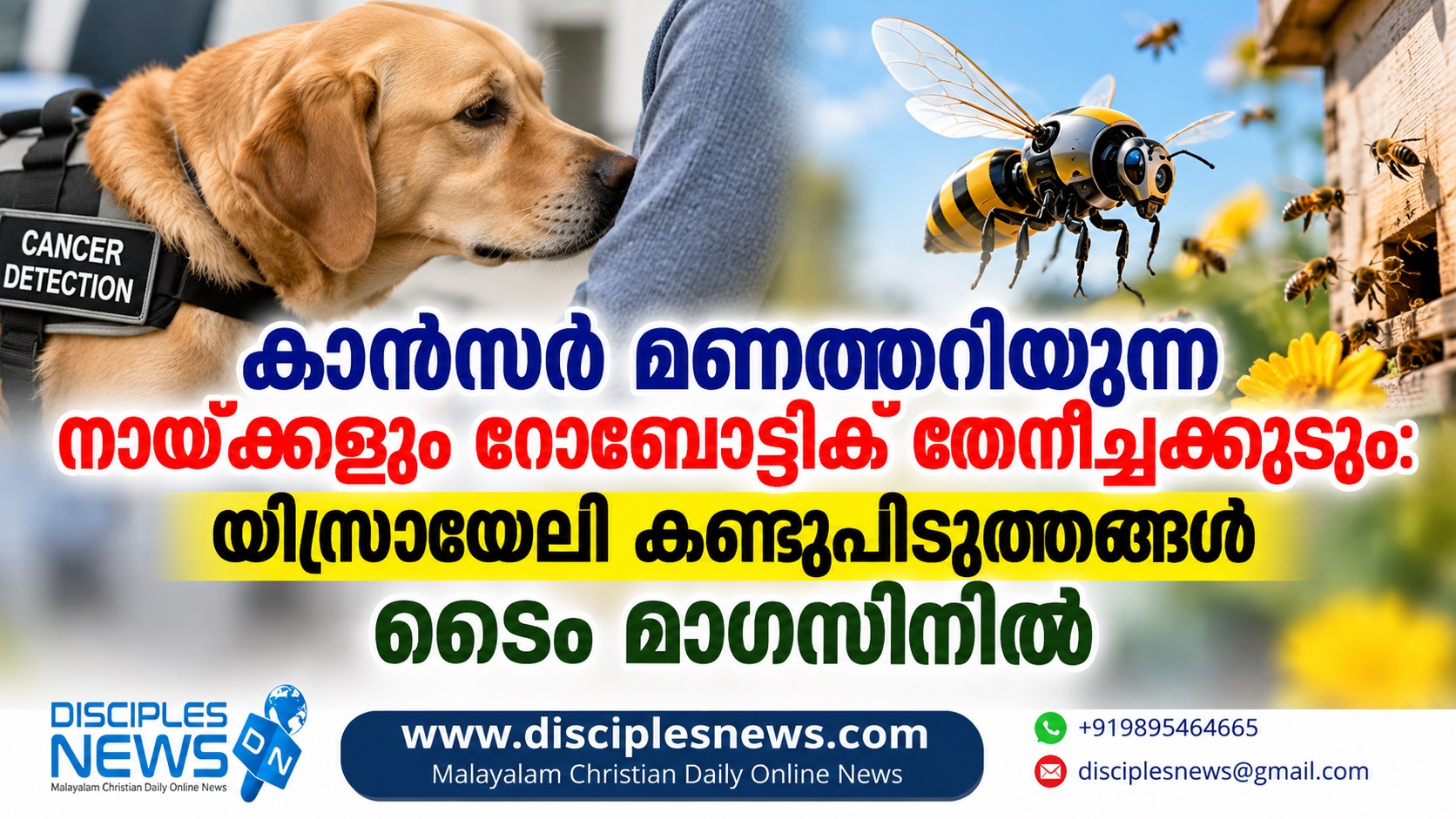 കാന്‍സര്‍ മണത്തറിയുന്ന നായ്ക്കളും റോബോട്ടിക് തേനീച്ചക്കൂടും: യിസ്രായേലി കണ്ടുപിടുത്തങ്ങള്‍ ടൈം മാഗസിനില്‍