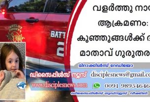 വളര്‍ത്തു നായ്ക്കളുടെ ആക്രമണം: 2 പിഞ്ചു കുഞ്ഞുങ്ങള്‍ക്ക് ദാരുണാന്ത്യം; മാതാവ് ഗുരുതരാവസ്ഥയില്‍