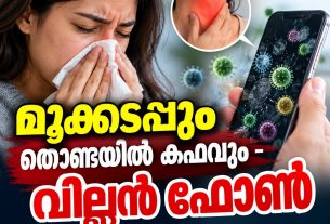 മൂക്കടപ്പും തൊണ്ടയില്‍ കഫവും - വില്ലന്‍ ഫോണ്‍