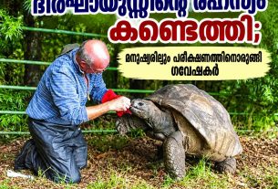 194 വയസുള്ള ആമയുടെ ദീര്‍ഘായുസ്സിന്റെ രഹസ്യം കണ്ടെത്തി; മനുഷ്യരിലും പരീക്ഷണത്തിനൊരുങ്ങി ഗവേഷകര്‍