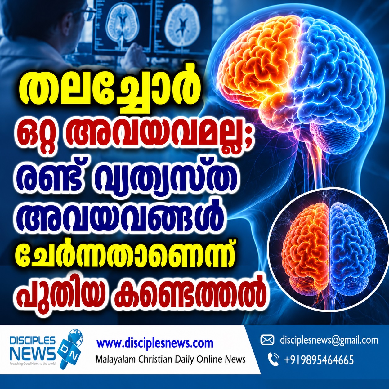 തലച്ചോര്‍ ഒറ്റ അവയവമല്ല; രണ്ട് വ്യത്യസ്ത അവയവങ്ങള്‍ ചേര്‍ന്നതാണെന്ന് പുതിയ കണ്ടെത്തല്‍