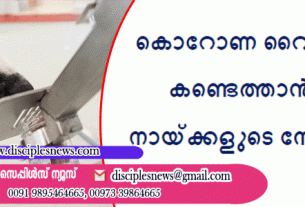 കൊറോണ വൈറസിനെ കണ്ടെത്താൻ ഇനി നായ്ക്കളുടെ സേവനവും