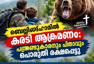 ബെല്ലിങ്ഹാമിൽ കരടി ആക്രമണം: പന്ത്രണ്ടുകാരനും പിതാവും പൊരുതി രക്ഷപെട്ടു