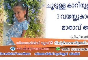 ചൂടുള്ള കാറിനുള്ളിൽ അടച്ചിട്ട് 3 വയസ്സുകാരി മരിച്ചു മാതാവ് അറസ്റ്റിൽ