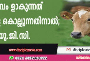 ഭൂകമ്പം ഉണ്ടാകുന്നത് പശുക്കളെ കൊല്ലുന്നതിനാല്‍