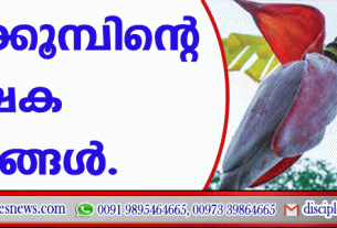 വാഴക്കൂമ്പിന്റെ പോഷക ഗുണങ്ങള്‍