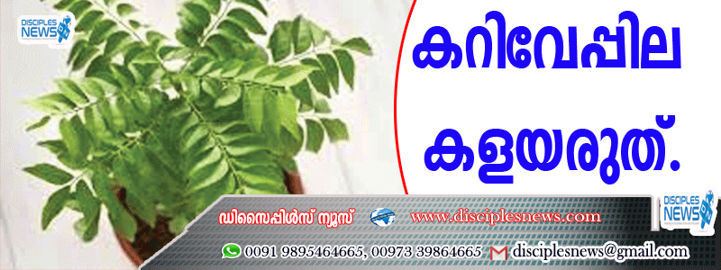 കറിവേപ്പില കളയരുത്