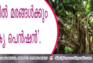 ഹരിയാനയില്‍ മരങ്ങള്‍ക്കും 'വാര്‍ദ്ധക്യ പെന്‍ഷന്‍