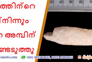ഗൊല്യാത്തിന്റെ നാട്ടില്‍നിന്നും പുരാതന അമ്പിന്‍ മുന കണ്ടെടുത്തു