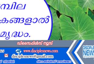 ചേമ്പില പോഷകങ്ങളാല്‍ സമൃദ്ധം