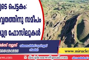 നോഹയുടെ പെട്ടകം: അരാരാത്ത് പര്‍വ്വതത്തിനു സമീപം ഗവേഷകര്‍ സമുദ്ര ഫോസിലുകള്‍ കണ്ടെത്തി