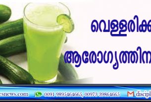 വെള്ളരിക്കാ ജ്യൂസ് ആരോഗ്യത്തിനു ഉത്തമം