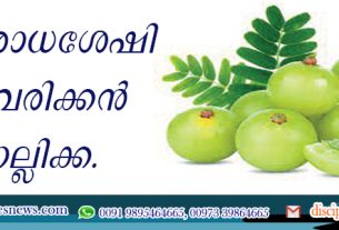 പ്രതിരോധശേഷി കൈവരിക്കാന്‍ നെല്ലിക്ക