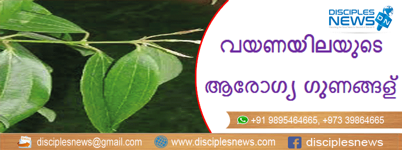 വയണയിലയുടെ ആരോഗ്യ ഗുണങ്ങള്‍