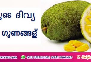 ചക്കയുടെ ദിവ്യ ഔഷധ ഗുണങ്ങള്‍