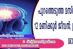 പുറത്തെടുത്ത മസ്തിഷ്ക്കത്തിന് 12 മണിക്കൂര്‍ ജീവന്‍ ‍; പ്രതീക്ഷയോടെ ശാസ്ത്ര ലോകം
