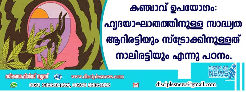 കഞ്ചാവ് ഉപയോഗം: ഹൃദയാഘാതത്തിനുള്ള സാദ്ധ്യത ആറിരട്ടിയും സ്ട്രോക്കിനുള്ളത് നാലിരട്ടിയും എന്ന് പഠനം