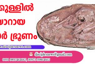 മുട്ടയ്ക്കുള്ളില്‍ വിരിയാറായ ദിനോസര്‍ ഭ്രൂണം കണ്ടെത്തി