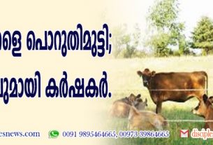 ഗോമാതാക്കളെക്കൊണ്ട് പൊറുതിമുട്ടി; പ്രതിഷേധവുമായി കര്‍ഷകര്‍