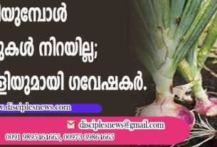 ഉള്ളി അരിയുമ്പോള്‍ ഇനി കണ്ണുകള്‍ നിറയില്ല; ബദല്‍ ഉള്ളിയുമായി ഗവേഷകര്‍