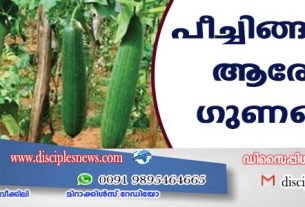 പീച്ചിങ്ങയുടെ ആരോഗ്യ ഗുണങ്ങള്‍