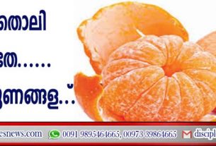 ഓറഞ്ച് തൊലി കളയരുതേ..... നിരവധി ഗുണങ്ങളുണ്ട്