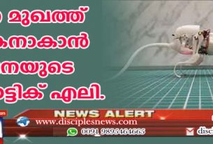 ദുരന്തമുഖത്ത് രക്ഷകനാകാന്‍ ചൈനയുടെ റോബോട്ടിക് എലി