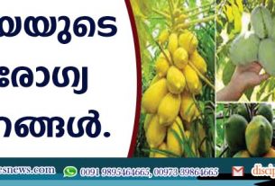 പപ്പായുടെ ആരോഗ്യ ഗുണങ്ങള്‍