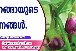 വഴുതനങ്ങായുടെ ഗുണങ്ങള്‍