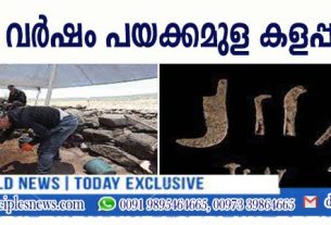 2100 വര്‍ഷം മുമ്പുണ്ടായിരുന്ന കളപ്പുര കണ്ടെത്തി