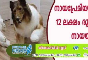 നായ പ്രേമിയായ യുവാവ് 12 ലക്ഷം രൂപാ മുടക്കി നായയായി