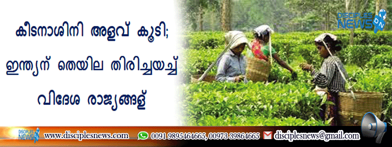 കീടനാശിനി അളവ് കൂടി; ഇന്ത്യന്‍ തെയില തിരിച്ചയച്ച് വിദേശ രാജ്യങ്ങള്‍