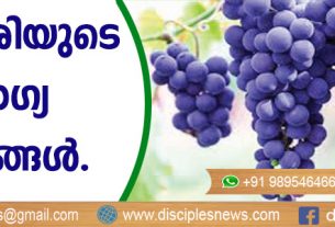 മുന്തിരിയുടെ ആരോഗ്യ ഗുണങ്ങള്‍