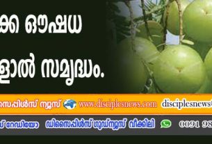 നെല്ലിക്ക ഔഷധ ഗുണങ്ങളാല്‍ സമൃദ്ധം