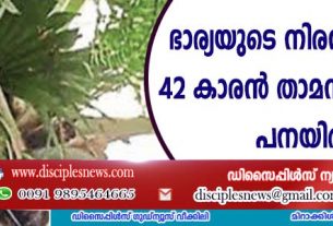 ഭാര്യയുടെ നിരന്തര മര്‍ദ്ദനം; 42 കാരന്‍ താമസിക്കുന്നത് പനയില്‍