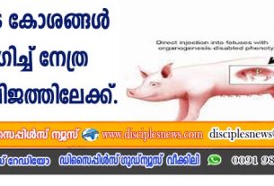 പന്നിയുടെ കോശങ്ങള്‍ ഉപയോഗിച്ച് നേത്ര ചികിത്സ വിജയത്തിലേക്ക്