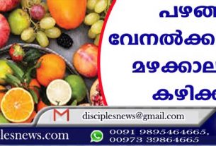 പഴങ്ങള്‍ വേനല്‍ക്കാലത്തും മഴക്കാലത്തും കഴിക്കാം