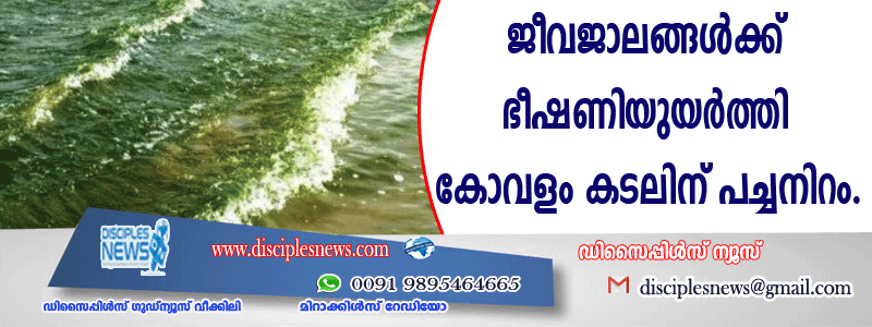 ജീവജാലങ്ങള്‍ക്ക് ഭീഷണിയുയര്‍ത്തി കോവളം കടലിന് പച്ച നിറം വിഴിഞ്ഞം: കോവളം കടലിന് പച്ചനിറം കണ്ട് സഞ്ചാരികള്‍ ആദ്യം ഭയന്നെങ്കിലും പിന്നീട് കൌതുകമായി മാറുകയായിരുന്നു. ചൊവ്വാഴ്ച ഉച്ചയ്ക്കു ശേഷമാണ് കോവളം ഗ്രോവ് ബീച്ചില്‍ തിരകള്‍ക്ക് പച്ചനിറം കണ്ടു തുടങ്ങിയത്. വെട്ടുകാട് ഭാഗം മുതല്‍ കടലിന് പച്ചനിറമായിരുന്നു. ആല്‍ഗ ബ്ളൂം എന്നറിയപ്പെടുന്ന പ്രതിഭാസമാണിതെന്ന് അധികൃതര്‍ പറഞ്ഞു. വിഷാംശമുള്ളതിനാല്‍ കടലിന്റെ ആവാസ വ്യവസ്ഥയെ ബാധിക്കുന്നതാണിത്. ഈ പ്രദേശങ്ങളില്‍ മത്സ്യങ്ങള്‍ വരില്ല. മുമ്പ് കോഴിക്കോട്, ആലപ്പുഴ, കൊല്ലം ബീച്ചുകളിലും ഈ പ്രതിഭാസം ഉണ്ടായിട്ടുണ്ട്. രാത്രി കാലങ്ങളില്‍ ഇവയ്ക്ക് തിളക്കം അനുഭവപ്പെടും. കാലാവസ്ഥാ വ്യതിയാനത്തിനൊപ്പം കടലിലെ ആവാസ വ്യവസ്ഥ താളം തെറ്റുന്നതും കടല്‍ പച്ചനിറമാകാന്‍ കാരണമാകുന്നു. കടലില്‍ വളരുന്ന ആല്‍ഗകള്‍ അതീവ വിഷാംശമടങ്ങിയവയാണ്. ആല്‍ഗകള്‍ അടങ്ങിയ കടല്‍ വിഭവങ്ങള്‍ ഉപയോഗിക്കുന്നത് ജീവന് വരെ ഭീഷണിയാണ്. മനുഷ്യനും പ്രകൃതിക്കും ദോഷകരമായ നിരവധി രാസവസ്തുക്കള്‍ ആല്‍ഗകളില്‍ അടങ്ങിയിരിക്കുന്നു.