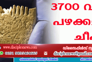 യിസ്രായേലില്‍ 3700 വര്‍ഷം പഴക്കമുള്ള ചീപ്പ് കണ്ടെടുത്തു
