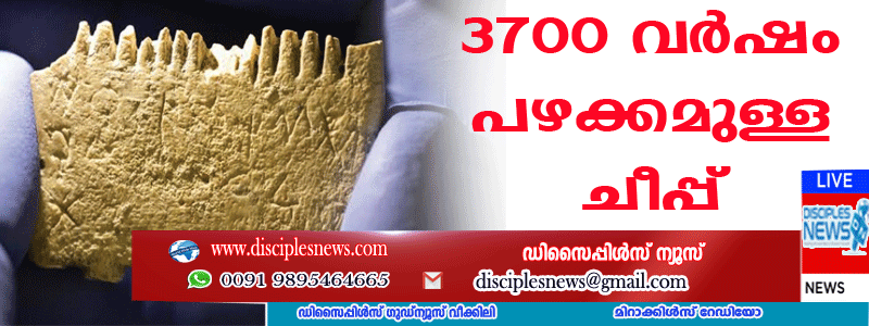 യിസ്രായേലില്‍ 3700 വര്‍ഷം പഴക്കമുള്ള ചീപ്പ് കണ്ടെടുത്തു