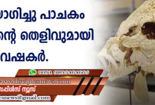 തീ ഉപയോഗിച്ച പാചകം ചെയ്തതിന്റെ പുരാതന തെളിവുമായി ഗവേഷകര്‍