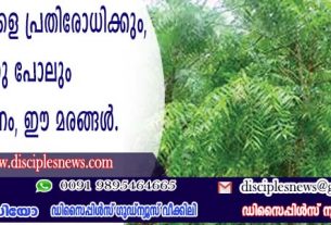 പകര്‍ച്ചവ്യാധികളെ പ്രതിരോധിക്കും, കാറ്റിനുപോലും ഔഷധ ഗുണം, ഈ മരങ്ങള്‍