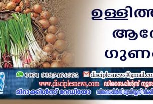 ഉള്ളിത്തണ്ടിന്റെ ആരോഗ്യ ഗുണങ്ങള്‍