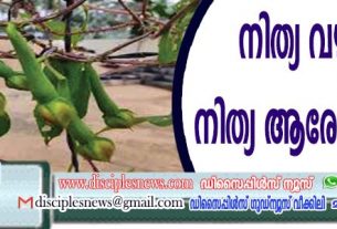 നിത്യ വഴുതന നിത്യ ആരോഗ്യത്തിന്