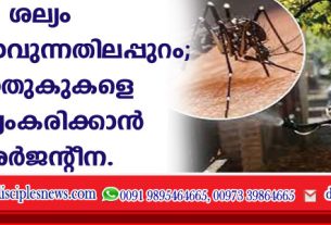 ശല്യം സഹിക്കാവുന്നതിലപ്പുറം; കൊതുകുകളെ വന്ധ്യംകരിക്കാന്‍ അര്‍ജന്റീന