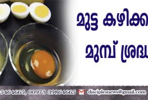 മുട്ട കഴിക്കുന്നതിനു മുമ്പ് ശ്രദ്ധിക്കുക