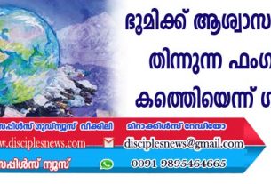 ഭൂമിക്ക് ആശ്വാസം! പ്ളാസ്റ്റിക് തിന്നുന്ന ഫംഗസുകളെ കണ്ടെത്തിയെന്ന് ഗവേഷകര്‍
