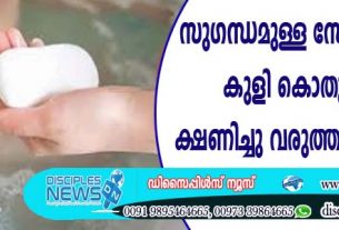 സുഗന്ധമുള്ള സോപ്പ് തേച്ചുള്ള കുളി കൊതുകു കടി ക്ഷണിച്ചു വരുത്തുമെന്ന് പഠനം https://www.disciplesnews.com/breaking-news/17856/