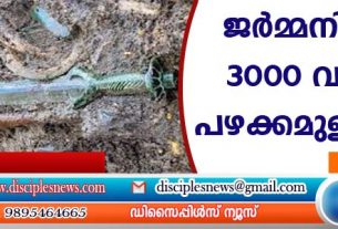3000 വര്‍ഷം പഴക്കമുള്ള വാള്‍ കണ്ടെത്തി