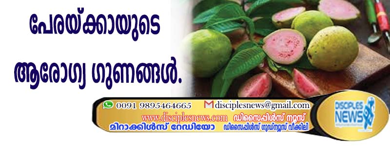 പേരയ്ക്കായുടെ ആരോഗ്യ ഗുണങ്ങള്‍